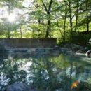 호텔 하비비 이미지