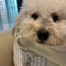 대구축협동물병원 이미지