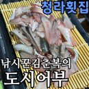 도시어부 | 청라횟집 낚시꾼김춘복의도시어부 솔직 후기｜전어회·대하구이 맛집