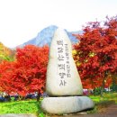 백양사진입로 | 백양사(장성)위치, 역사, 성찰 포인트