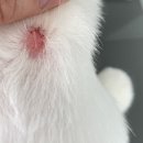 디위드동물병원 이미지