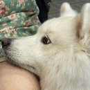 상상오리 처인점 이미지