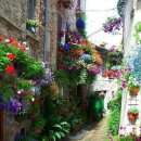 드림빌딩 이미지