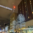 그랜드빌딩 | 삿포로 그랜드호텔 메인빌딩 그랜드 클래식 슈페리어 트윈룸 후기