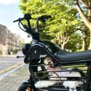 에코로 | 포니 여성 애견 반려견 전기 전동스쿠터 후기 🛵 | 에코로 포니 전기스쿠터 | 강아지스쿠터 추천 | 면허...