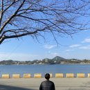 오늘도 화창 이미지