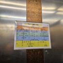 스시오우시 | 용인 오마카세 : 스시오우시, 평일 저녁 예약 후기 / 새로운 식재료와 새로운 맛 ~