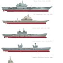 세계 주요국의 차기 항공모함 크기 비교 이미지