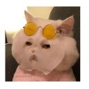 순에스테틱