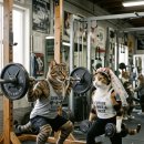 고깃간 | 대연생고깃간 후기 : 예비부부 다이어트 식단으로 먹어본 소고기