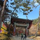 용문산첫번째식당 | 양평관광지 용문산 용문사 단풍소식 용문산맛집 첫번째 식당 더덕쌈밥정식 식사