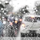 진성모터스2호점 이미지