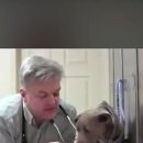 강아지 마음 이미지