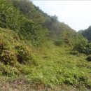 삼옥1리마을회관 이미지