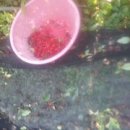 그날농장 이미지