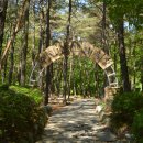 수리산 산림욕장 이미지
