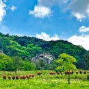 현우축산 이미지