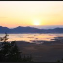 순천만 습지 이미지