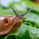 전진메탈(주) 이미지