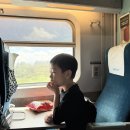 서진프라자 앞 | 서울)광명동굴/홍대 시나모롤카페/더현대 흔한남매 팝업