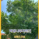 마당나무자르기 전기줄에 닿는나무