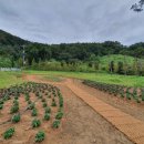 김천문화원 이미지