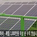 장수순이 태양광발전소 네이버블로그