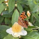 보성꽃식물원 이미지