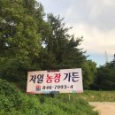 자일농장