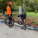 농암로(예안면) 이미지