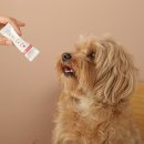 멍블멍블 이미지