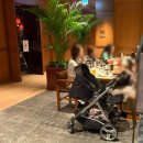 신세계 | [서울] 신세계백화점 강남 캐치테이블 예약 가능한 타치바나 하우스 오브 신세계 후기