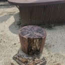 구정 초등학교 병설유치원 이미지