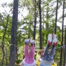 온양제일유치원 이미지