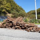 동산노인복지관 이미지