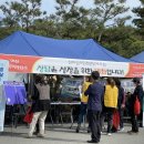 건강 지킴이 수지침 이미지