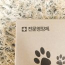 주식회사 우리가제약 이미지