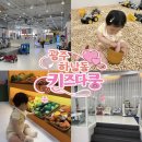 벌크커피하남소촌점 | [광주 아기랑 가볼만한곳] 10개월 아기랑 광주 하남동 키즈카페 키즈다쿵 후기 !