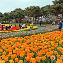 꽃지해안공원 이미지