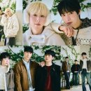 신곡 bnt뉴스