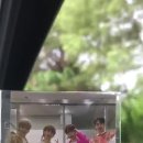 💙화랑아 안녕~ 베트남의 여름이 끝나가고 이제 곧 학교가니까 템페스트랑 놀러가도록 하겠습니다🦊✈️🏠 이미지