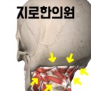 지로한의원 이미지