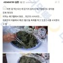 비위 테스트)1 일본의 식문화 도조스시 이미지