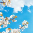 서소문당구장 이미지