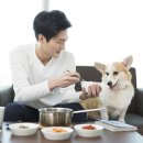 쌀강아지 네이버블로그