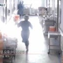 유림-13 이미지