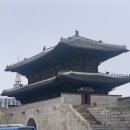 동대문 JW 메리어트 호텔 타볼로24 SEA FOOD 럭셔리 시푸드 플래터 후기