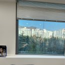 루니아의원 이미지