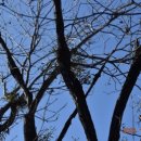 약초농원민박 이미지