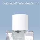 메종드로즈 이미지